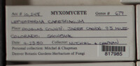 Image Associated With the Occurence